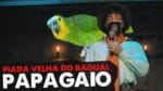 PIADA VELHA DO BAGUAL – PAPAGAIO  #1