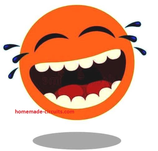 Circuito Simulador de Som de Riso