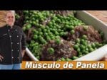 Músculo de Panela do Chef Taico