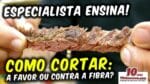 Como Cortar: a Favor ou Contra a Fibra? – TvChurrasco – Manual do Churrasco – Parte 14
