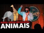 PIADA VELHA DO BAGUAL – ANIMAIS