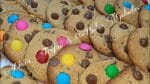 COOKIE QUE DERRETE NA BOCA MASSA LEVE E SABOROSA Ganhe até 3 Mil reais por mês com essa Receitinha.