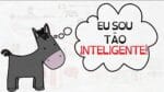 Por que os mais BURROS pensam que são os mais INTELIGENTES | Efeito Dunning Kruger | SUPM