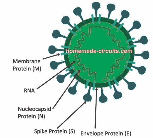 Como matar o coronavírus com gerador de gás ozônio 3 Estrutura do novo coronavírus