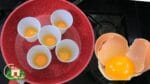 NÃO FAÇA OVO ANTES DE VER ESSA RECEITA