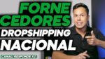 Como Conseguir Fornecedores Dropshipping Nacional? [Canali Responde #02]