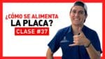 Como uma placa do iPhone é alimentada?  – Turma 37 – Curso Básico de Reparo de Placas
| (Espanhol)