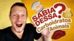 6 ÓTIMOS CARBOIDRATOS DE ORIGEM ANIMAL! Deliciosos!