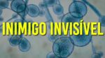 Como SUPERFUNGO CANDIDA AURIS pode causar nova PANDEMIA?