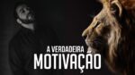 MOTIVAÇÃO NÃO TEM NADA A VER COM O QUE MUITA GENTE PENSA – NANDO PINHEIRO MOTIVACIONAL