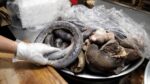 Se você gosta de sundae, experimente o restaurante de sundae artesanal / Blood Sausage Sundae – comida de rua coreana