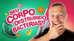 VEJA SEU SISTEMA IMUNOLOGICO FUNCIONANDO | Imunidade Funcionando Na Prática no Microscópio