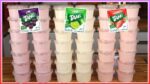 1 PACOTE DE SUCO RENDE 14 POTES DE SORVETE I SORVETE CASEIRO INCRÍVELMENTE FÁCIL