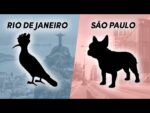 Marcas Masculinas REGIONAIS: 5 Marcas de PRESENÇA que valorizam a Cultura Regional
