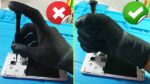 5 Noções No Conserto de Celular Que Ainda Vão Salvar Sua Vida (E Te Ajudar a Ganhar Dinheiro)