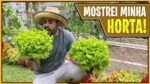 MOSTREI MINHA HORTA I COMO FIZ MEUS CANTEIROS I PLANTAÇÃO DE UVA E MUITO MAIS