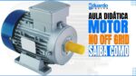 MOTOR na ENERGIA SOLAR OFFGRID sem PICO de Partida
