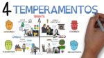 Conheça os 4 Temperamentos, e como isso pode afetar sua vida | SejaUmaPessoaMelhor