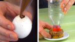 Para uma Páscoa inesquecível | Nossas 11 melhores receitas de Páscoa