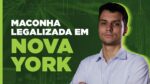 Um mercado promissor para investir: por que ter Canabidiol na carteira?