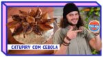 CATUPIRY COM CEBOLA CARAMELIZADA | Receitas Internéticas | Mohamad Hindi
