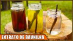 COMO FAZER SEU PRÓPRIO EXTRATO DE BAUNILHA