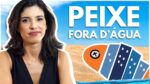 Estudo de Caso: A Derrocada do Peixe Urbano