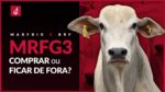 Marfrig compra BRF: é hora de comprar as ações?