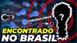 QUAL É O MAIOR VÍRUS QUE JÁ EXISTIU?