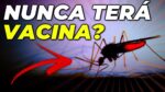VACINA DA MALÁRIA: POR QUE NÃO EXISTE ATÉ HOJE