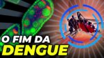 MOSQUITO HACKEADO: A BACTÉRIA QUE VAI ACABAR COM A DENGUE