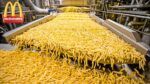 COMO AS BATATAS FRITAS DO MCDONALD& #39;S SÃO FEITAS. PRODUÇÃO DE ALIMENTOS