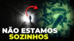 Como bactérias controlam tudo no seu corpo!