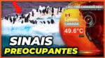 OS PERIGOSOS SINAIS QUE MOSTRAM QUE O CLIMA VAI PIORAR MUITO | Mudanças climáticas #1
