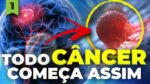 COMO O CÂNCER COMEÇA | Câncer Explicado #1