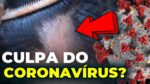 QUEDA de CABELO pós COVID: MITO ou VERDADE?