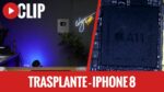 Um pequeno CLIP de um iPhone 8 SWAP
| (Espanhol)