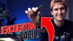 ✅ COMO ENCONTRAR UM SHORT FÁCIL NAS LINHAS PRINCIPAIS
| (Espanhol)