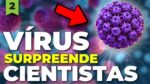 O vírus SILENCIOSO que CAUSA CÂNCER | Câncer Explicado #2