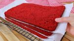 MASSA RED VELVET PARA BOLOS DE 4KG | USE EM MONTAGEM DE SOBREMESAS NA TAÇA E TRAVESSA