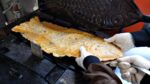 Tamanho esmagador!  30.000 won Taiyaki Taiyaki / peixe gigante – pão em forma / comida de rua coreana