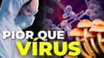 E SE UMA PANDEMIA FOSSE CAUSADA POR… FUNGOS???