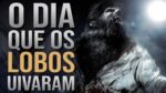 LOBO SOLITÁRIO – PARA AQUELES QUE CAMINHAM SOZINHO (Motivação)