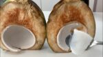 VOCÊ JOGA FORA ? PARA FAZER LEITE DE COCO   COCADA CREMOSA É PERFEITO  COCO VERDE