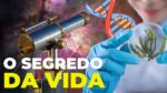 A BUSCA de CIENTISTAS por VIDA FORA DA TERRA