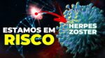 A PERIGOSA REATIVAÇÃO DO VÍRUS DA CATAPORA
