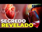 A VERDADE: VINHO FAZ BEM PRO CORAÇÃO?