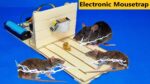 Armadilha Elétrica para Ratos / Melhor Armadilha Elétrica para Ratos / Armadilha Eletrónica para Ratos / Sons de Rato