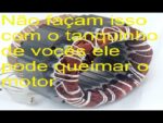 Motores de 1/4 de cv com estatores diferentes porque isso??!!