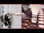 Vídeos satisfatórios de trabalhadores fazendo seu trabalho perfeitamente ▶13